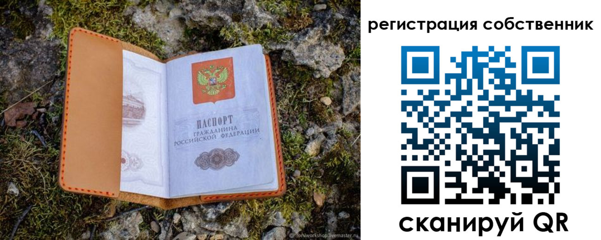 прописка поиск в ЕАО